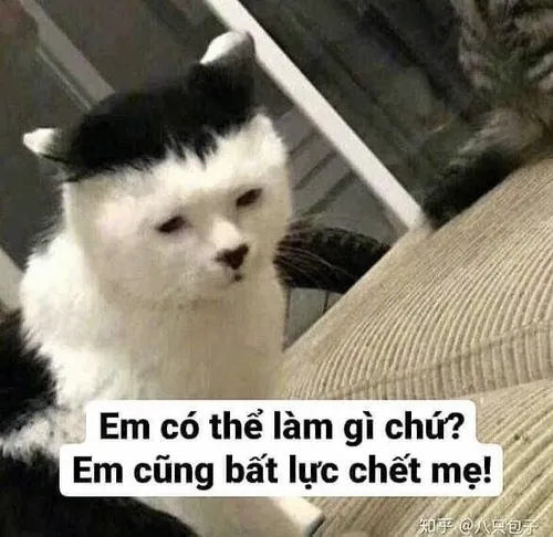 Meme gương mặt thất vọng cực rõ sau chuyện