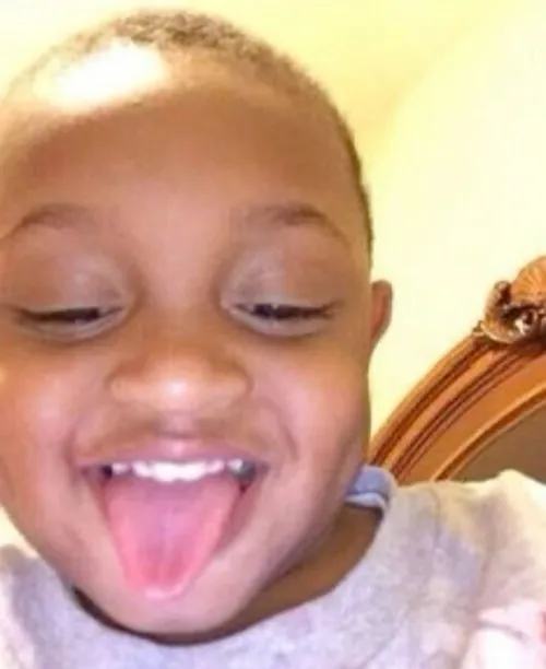 10 Ảnh troll biểu cảm thòm thèm vừa hài vừa đáng yêu