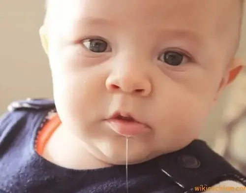 Ảnh vui khuôn mặt nhỏ dãi nhìn món ăn ngon