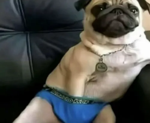 25 Từ đồ ăn đến idol, mọi thứ đều khiến bạn “rớt dãi”