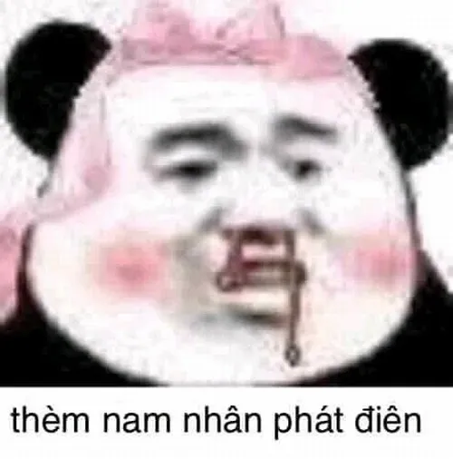 Meme gấu trúc thèm khát nam nhân phát điên ánh mắt long lanh