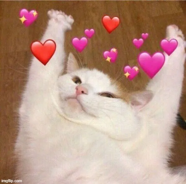 Ảnh chế khi cặp đôi cùng nhau spam story