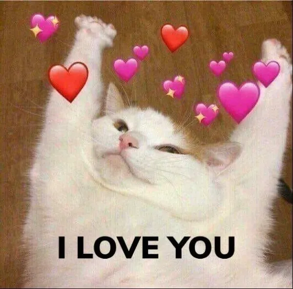 Ảnh troll bạn gái dỗi nhẹ nhưng cười tủm tỉm