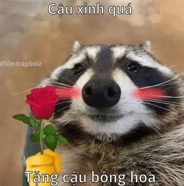 Ảnh troll người yêu ghen vô lý mà đáng yêu không chịu nổi