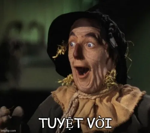 Meme chế quá đã nêu cảm xúc vui tươi của dân mạng