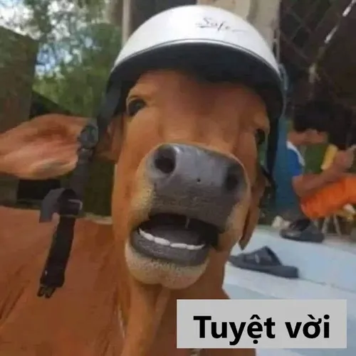 Meme hài xịn xò ghê tạo tiếng cười lan tỏa