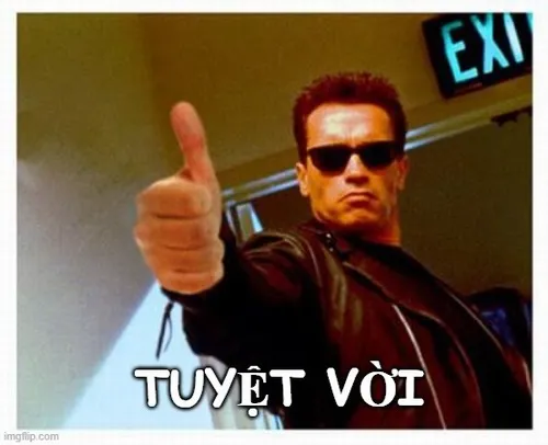 Ảnh hài tuyệt cú mèo mang cảm xúc đỉnh của chóp