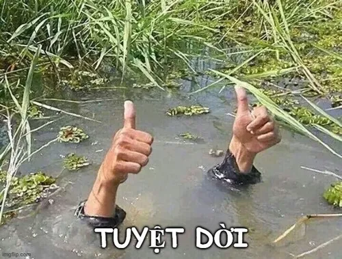 Ảnh chế cảm xúc vui vẻ gắn với lời khen đỉnh thật sự