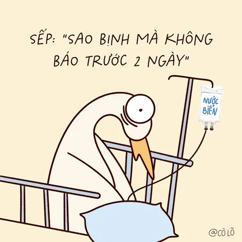 29 Ảnh troll buổi sáng ai cũng check mail run rẩy