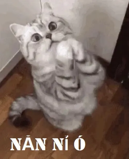 37 Meme hài ánh mắt yếu đuối kết hợp caption ngọt ngào.