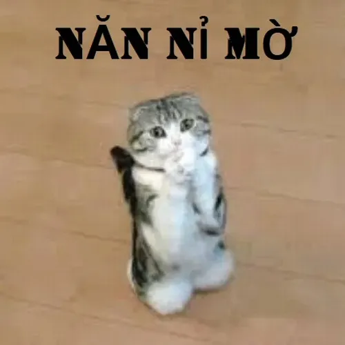 38 Ảnh vui khuôn mặt nửa cười nửa mếu khiến người ta bật cười.