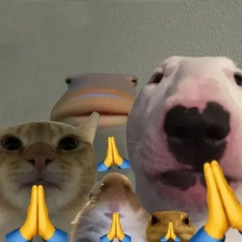 39 Meme hài cử chỉ đáng yêu kèm dòng tin “đừng giận nữa nha”.