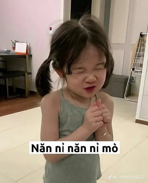 27 Meme chế ánh nhìn long lanh, kèm caption “tha em lần này nha”.