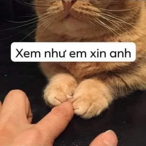 47 Meme vui khuôn mặt chực khóc khiến người xem phải bật cười.