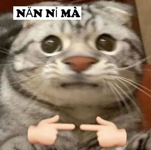 31 Meme vui nét mặt e dè nhưng vẫn giữ chút đáng yêu tự nhiên.