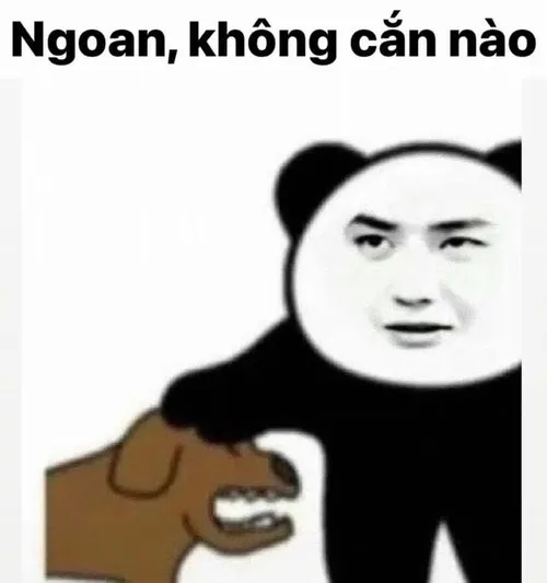 Khi bạn troll nhẹ nhưng Internet làm quá mọi thứ.