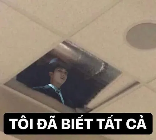 Hài kiểu “thâm nho” – nhìn càng lâu càng buồn cười.