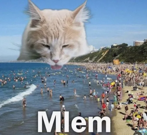 Ảnh meme vui mlem được dùng để bình luận cmt hấp dẫn.