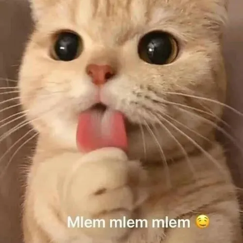 Hình troll mlem mlem khi thấy đồ ăn ngon bá cháy