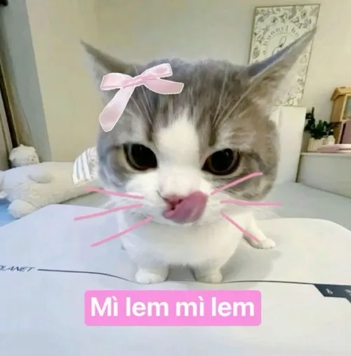 Hình chế mlem visual đỉnh, ai xem cũng mê mẩn