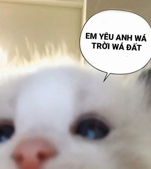 Hình chế có chữ em yêu anh quá trời quá đất