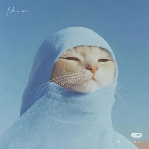 Meme vui boss mèo nằm ngủ gấp khúc.