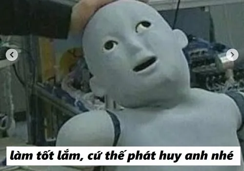 15 Ảnh chế sinh viên gõ bài luận ngày cuối: caption “vắt cực khô nhưng qua”.