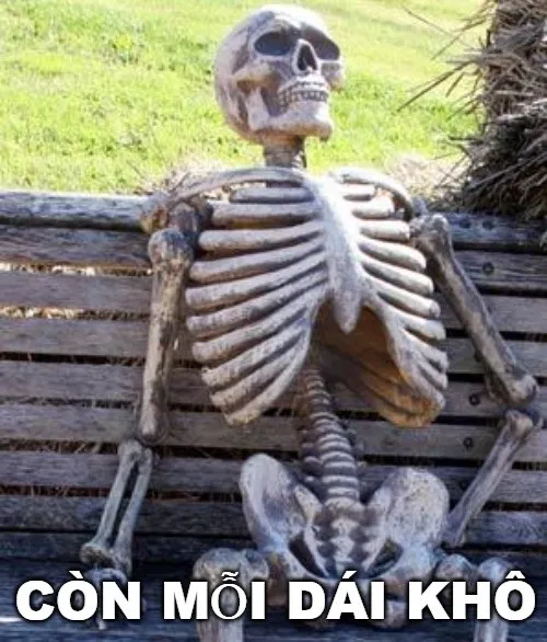 35 Hình chế nàng tỉnh như sáo còn chàng nằm bơ phờ thở dốc