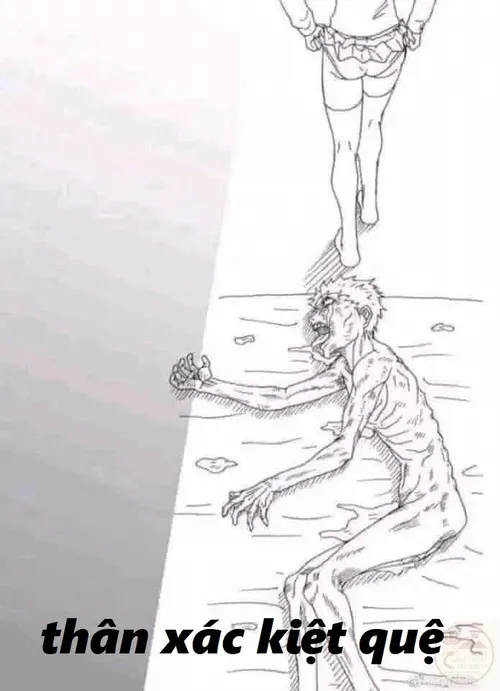 Trào lưu meme vắt cực khô và sức hút của biểu cảm mệt mỏi hài hước Trào lưu meme vắt cực khô và sức hút của biểu cảm mệt mỏi hài hước