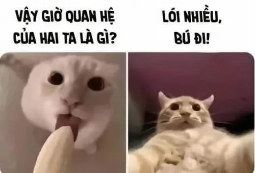 18 Meme chế caption “vắt cực khô rồi” nhưng vẫn tag bạn thân vào.