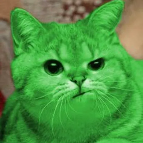 Hình meme mèo gương mặt cau mày sâu đầy chán nản