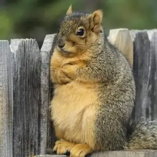 Top meme khó chịu khiến dân văn phòng đồng cảm vì quá thật