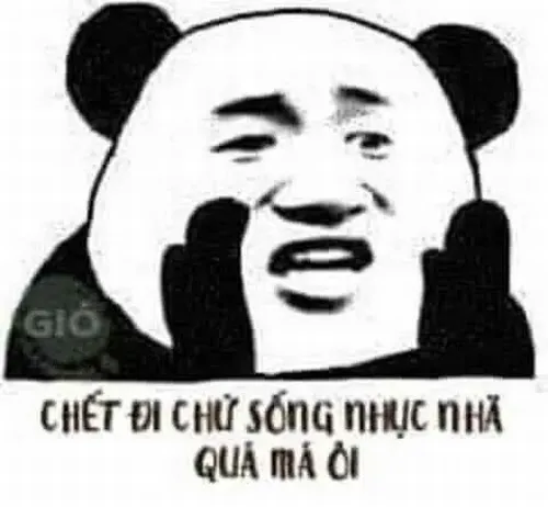 Ảnh troll gấu trúc bị quê gãi đầu bối rối