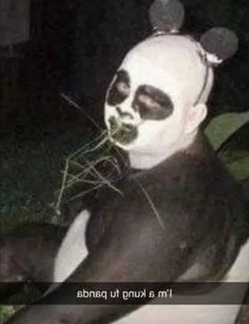 Ảnh meme vui gấu trúc khinh bỉ nheo mắt khó chịu