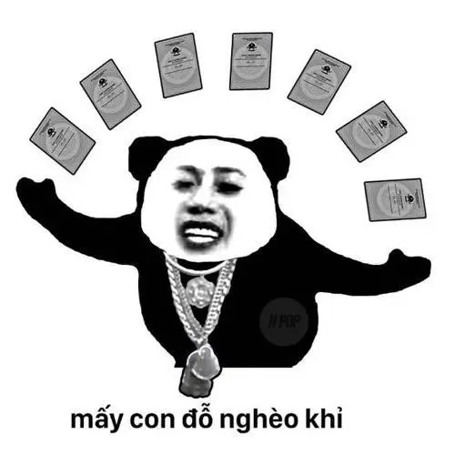 Meme hài gấu trúc vui vẻ lăn vòng quanh sân