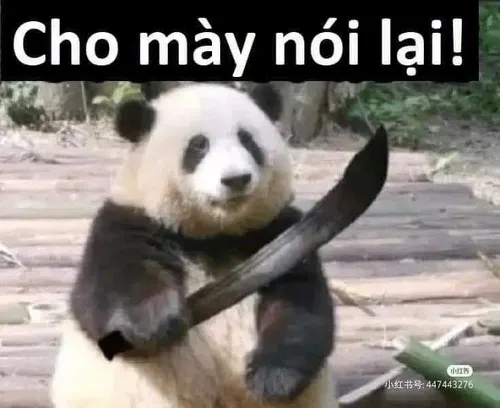 Ảnh chế gấu trúc sợ hãi nép sát vào gốc tre