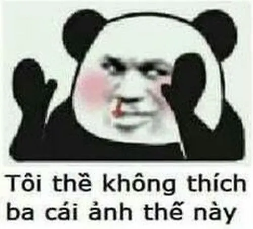 Hình meme hài gấu trúc im lặng ngồi thừ suy nghĩ