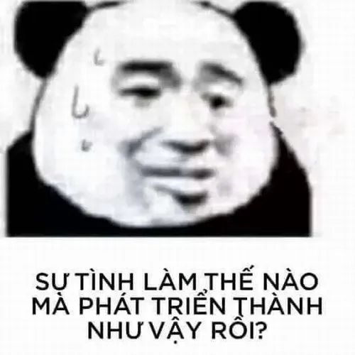 Meme gấu trúc liếc mắt sắc nhẹ nhưng vẫn đáng yêu