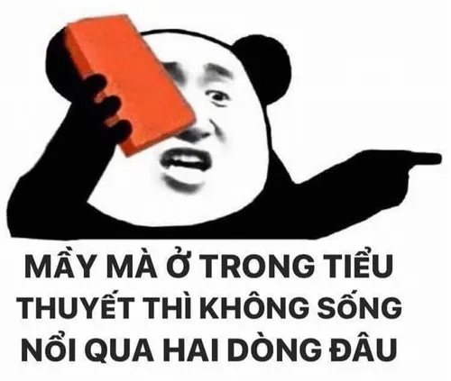 Ảnh hài gấu trúc dễ thương nghiêng đầu như hỏi han