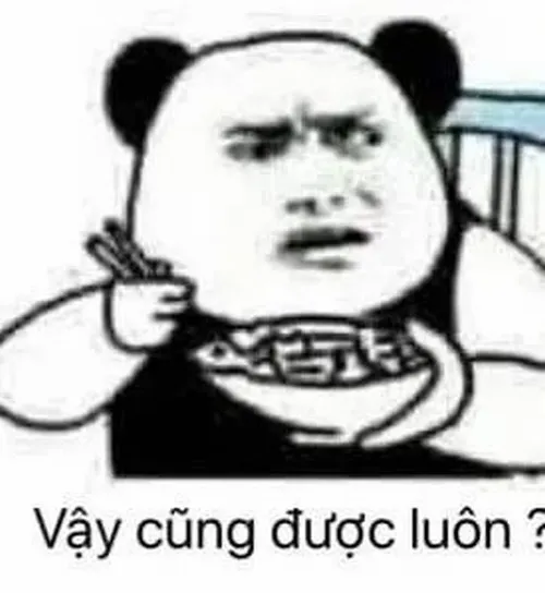 Ảnh meme vui gấu trúc đáng yêu ôm chân người chăm