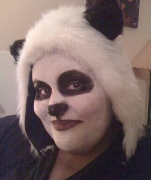 Ảnh vui gấu trúc xin lỗi khúm núm trông rất buồn cười