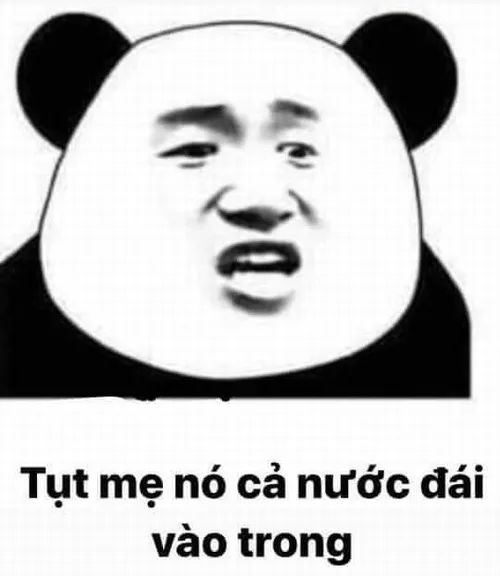 Hình troll gấu trúc giật mình dựng người như bật lò xo