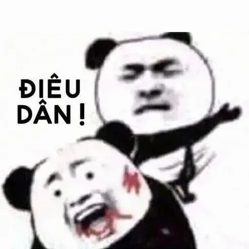 Ảnh vui gấu trúc mệt rã rời nằm bẹp xuống đất