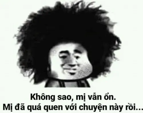 Hình chế meme vui gấu trúc thở dài như hết hy vọng