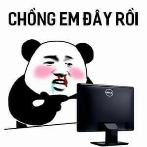 200+ Meme Gấu Trúc Weibo hài bựa mà đáng yêu cho mọi tình huống trò chuyện