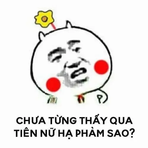 Hình chế meme vui gấu trúc xúc động rưng rưng mắt