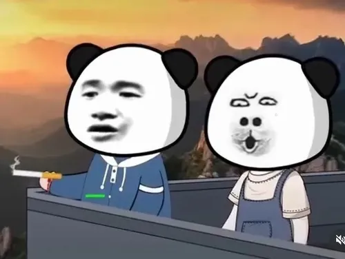 Ảnh hài gấu trúc nhây bựa lăn vòng cà khịa