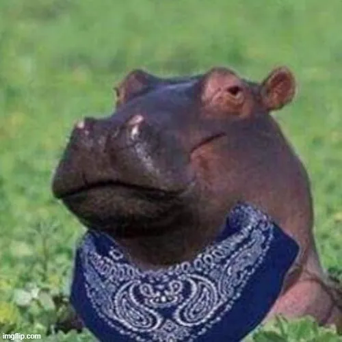 Ảnh troll hà mã tấu hài tự nhiên cực mạnh.