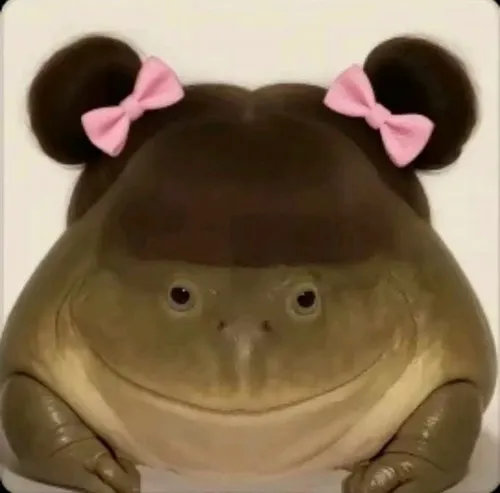 Ảnh vui hà mã troll dân mạng bằng biểu cảm thật.