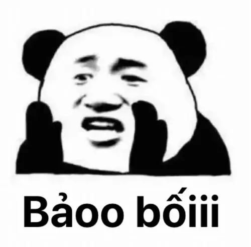 Hình meme hài gấu trúc bịquê cúi mặt ngại ngùng nhìn xuống